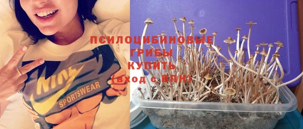 метамфетамин Тавда