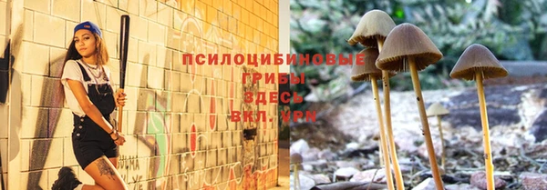 гашиш Тайга