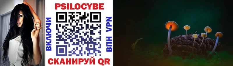 где продают   Северская  Псилоцибиновые грибы Cubensis 